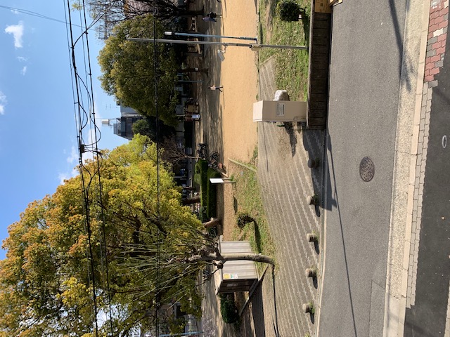 オークハイツ 